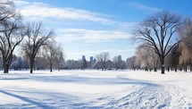 a snow covered field with trees and buildings in the background