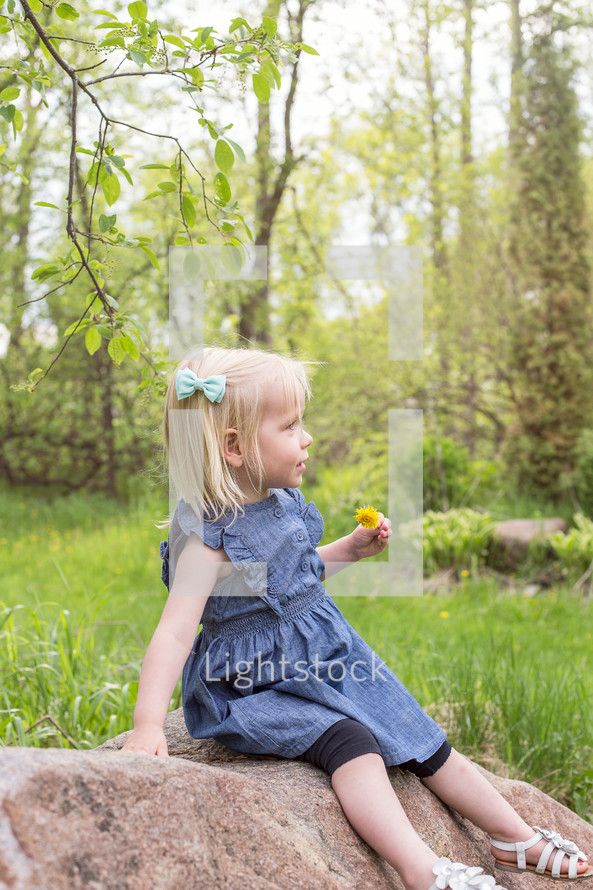 a toddler girl sitting on a rock holding a dandelion 