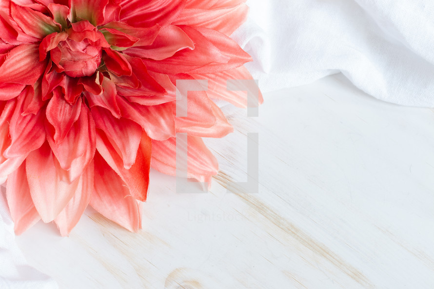 silk flower on white wood background 