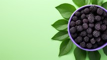 Blackberries in a purple bowl with green leaves on a green background