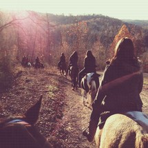 line of people riding horses along a trail 