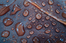 raindrops on the red leaf in rainy days in autumn season, red background