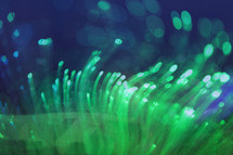 a blurred and layered photo of fibre optic  lights