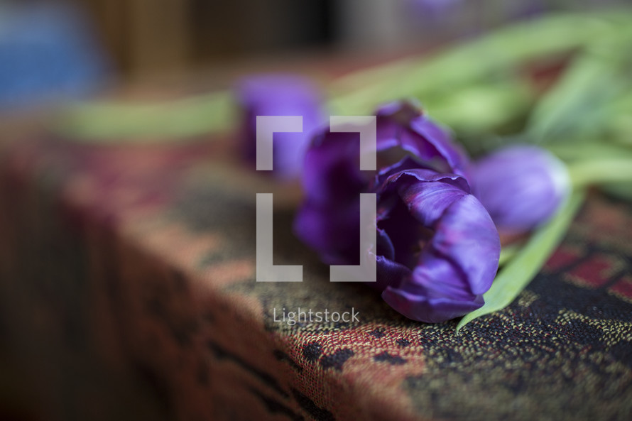 selective focus of tulips laying on table