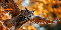  A majestic owl in flight against a backdrop of autumn leaves