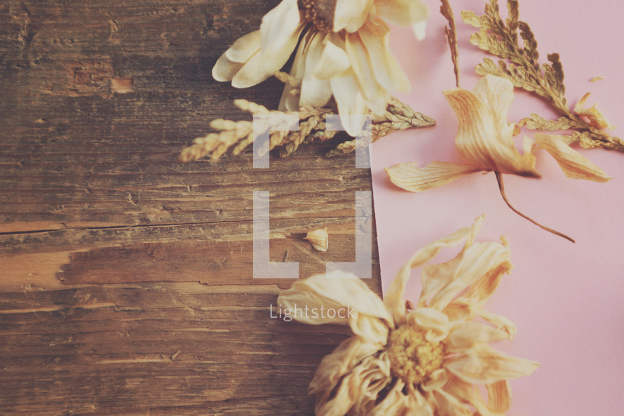 paper, wood and dried flower background