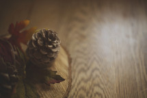 pine cones and fall leaves background 