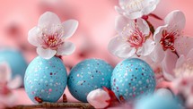 Blue Easter eggs with cherry blossom on pink background