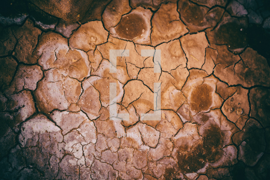 dry ground 