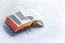 Floating Bible with flipping pages