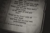 bible verse - trust in the lord