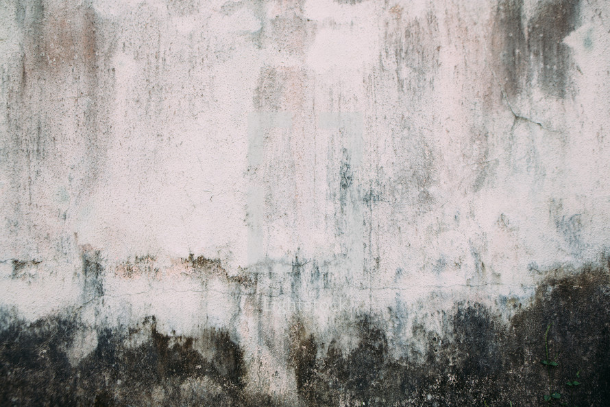 grungy stucco background 