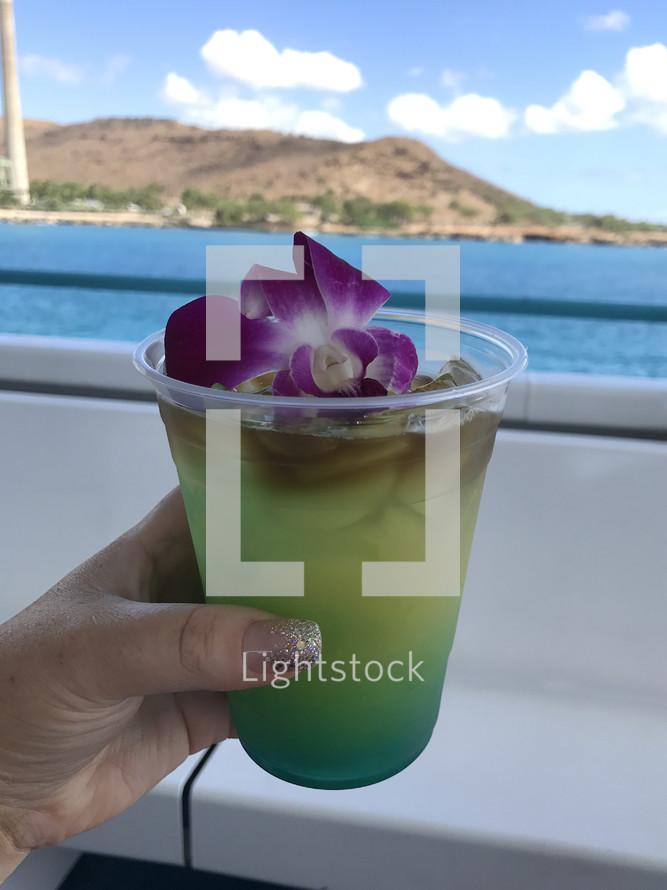 cocktail in Hawaii 