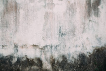 grungy stucco background 