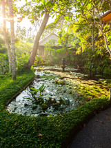 Bali garden and fish pond 