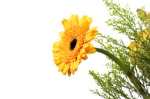 yellow gerber daisy flower arrangement 
