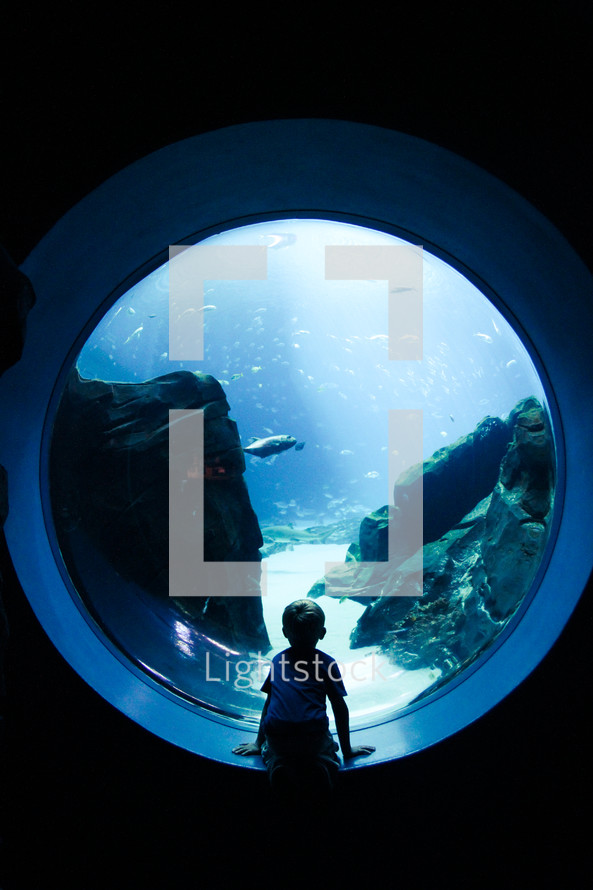 boy child looking at fish in an aquarium 
