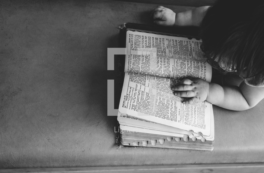 toddler reading a Bible 
