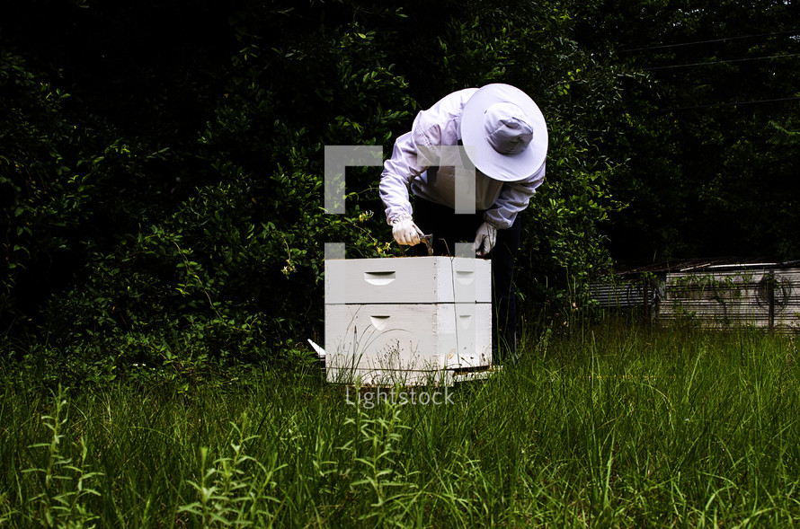 beekeeper 
