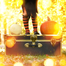 a girl in a witch costume standing on a trunk near pumpkins 