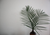 palm fronds in a brown glass vase 