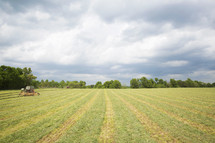 A combine harvesting a crop in a big field under a cloudy sky.