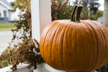 pumpkin on a porch 