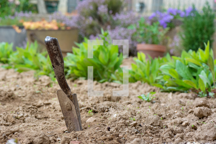 gardening shovel in a garden 