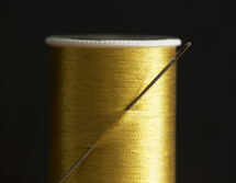 a needle in a spool of thread.