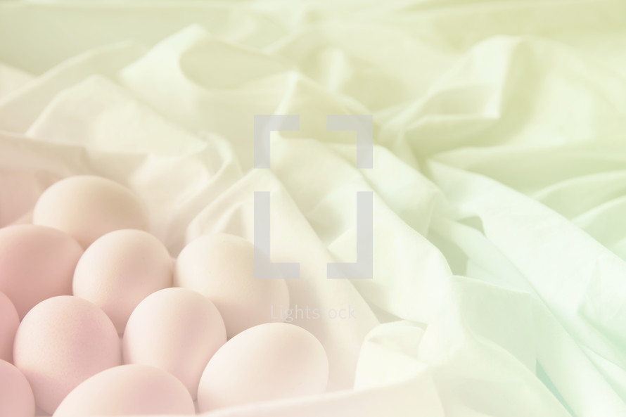 Eggs on white fabric 