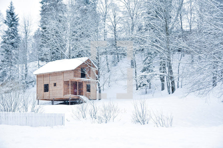 hut in a snowy forest