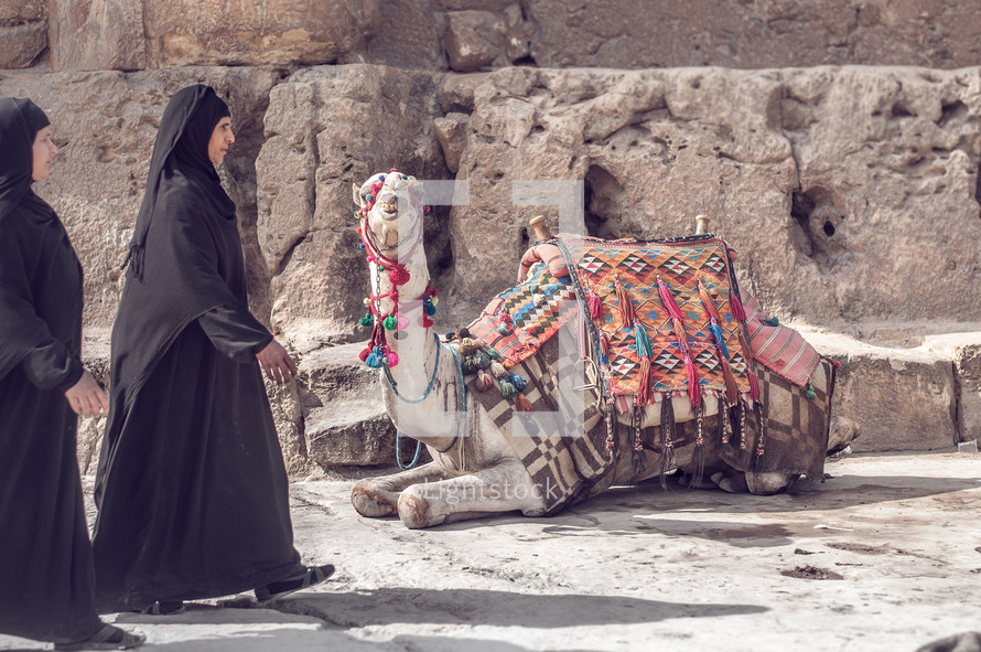 Arab women walking near a camel 
