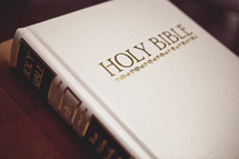 A white Holy Bible