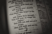 Bible verse about hope