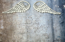 angel wings on concrete 
