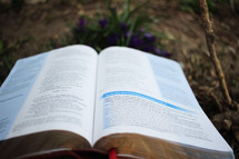A Bible laying open on the ground.