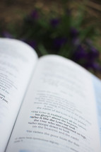 An open Bible and purple flowers.