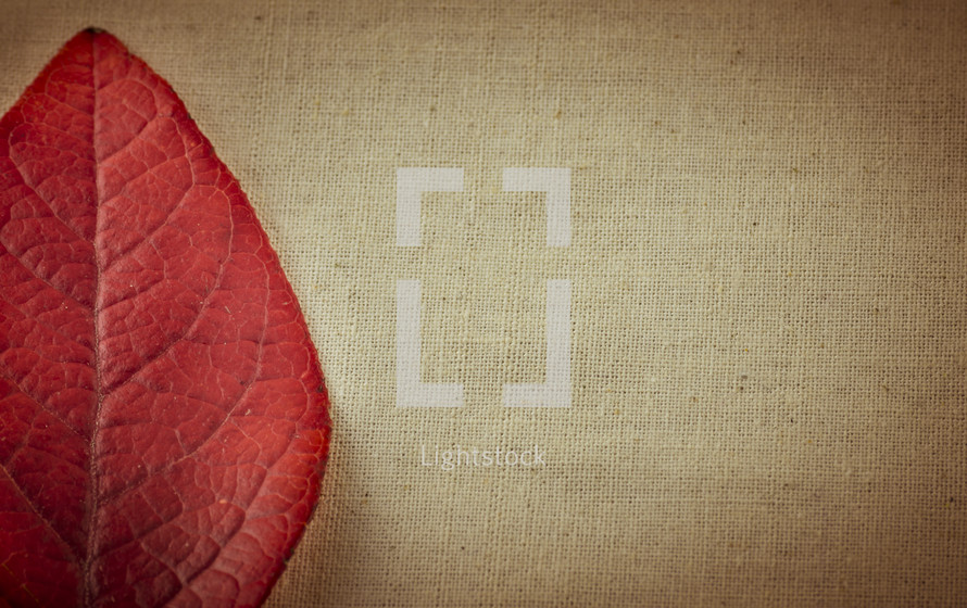 red fall leaf and tan linen 