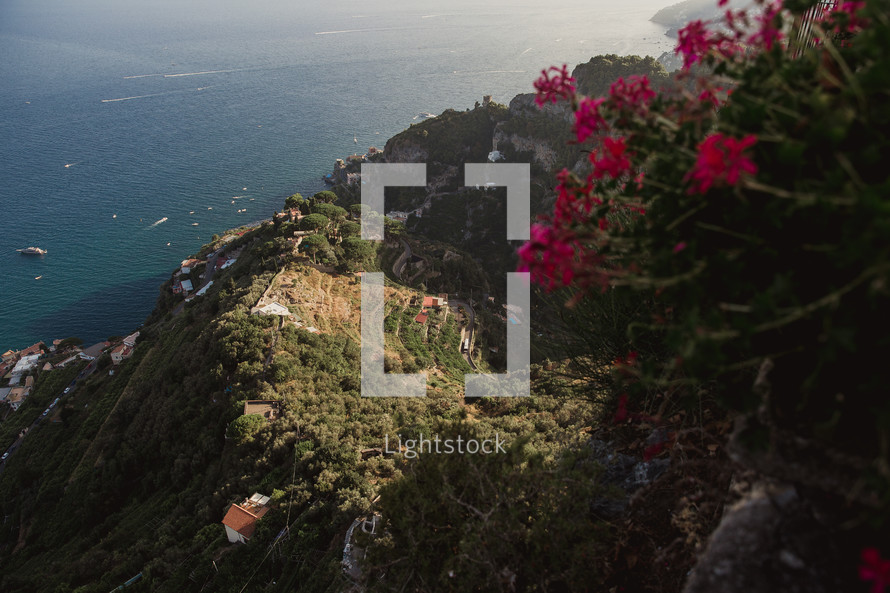 flowers along a seaside cliff in Italy 