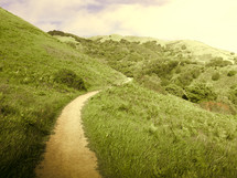 path through green hills 