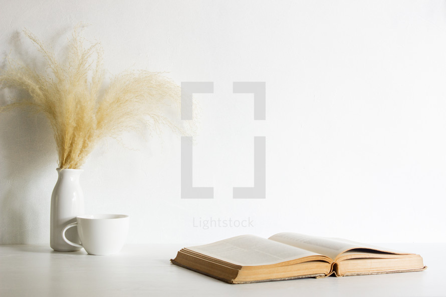 vase of brown fuzzy grasses and open Bible 