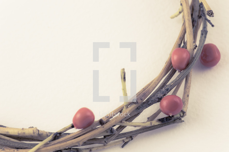 edge of a wreath of red berries and sticks 