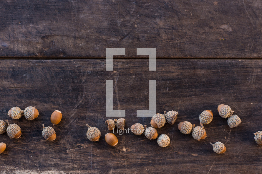 acorns on a wood background