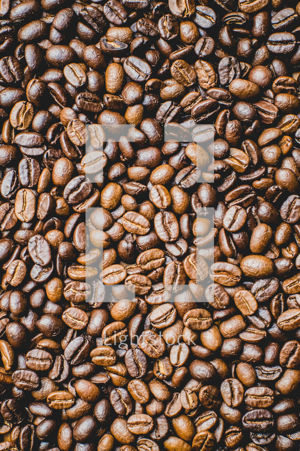 coffee bean background 