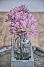 pink flowers in vases 