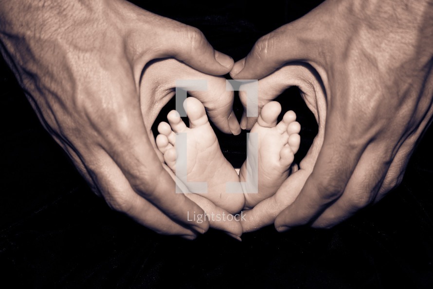 Baby feet in the loving hands of mom and dad