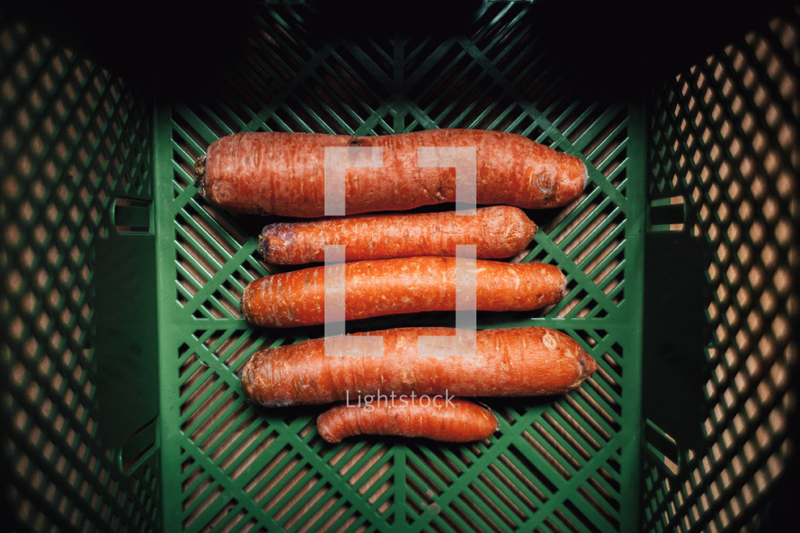 carrots in a cart 