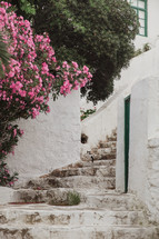 flowers and outdoor steps in Greece 