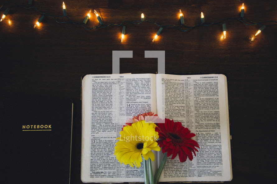 gerber daisies on a Bible and a notebook on a wood desk 
