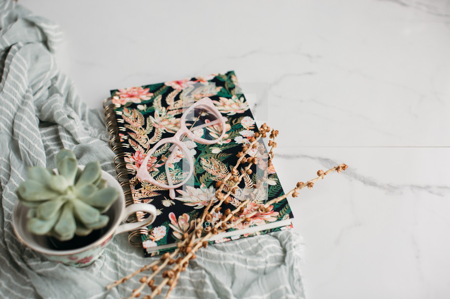 reading glasses, succulent plant, and floral journal 
